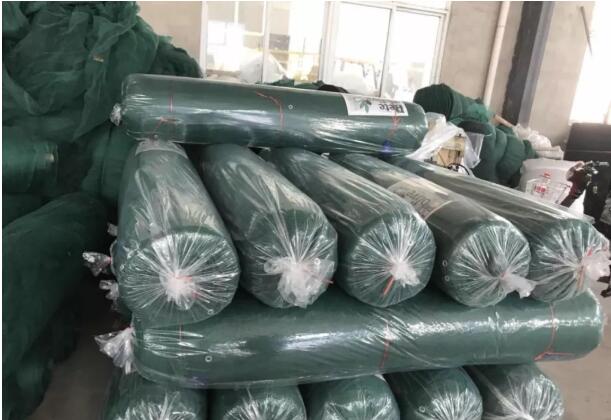 olive net7 plasa de masline7