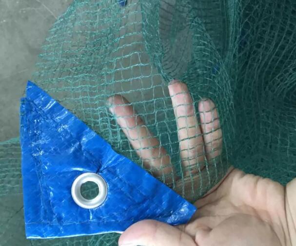 olive net10 plasa de masline10