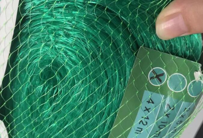 bird net2 plasă de păsări2