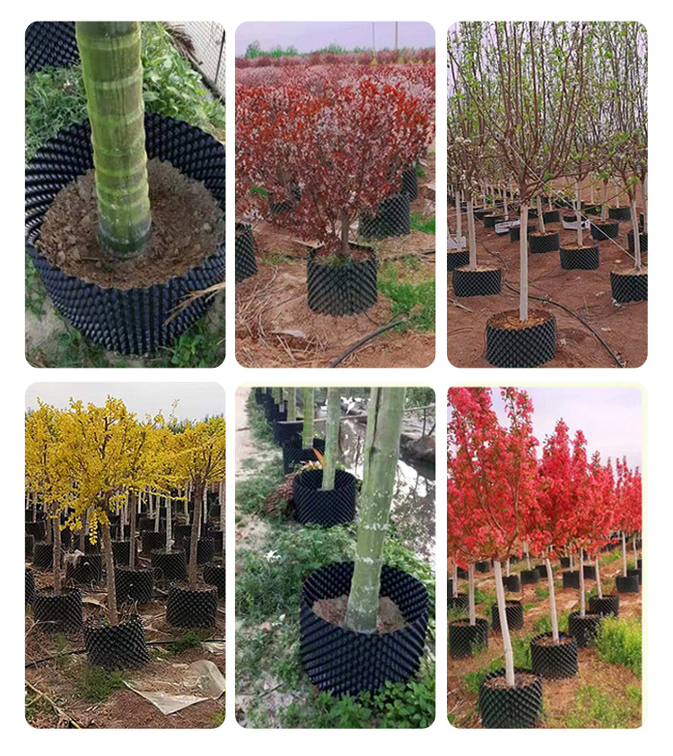 Root Controlling Pot Vasul de control al rădăcinii