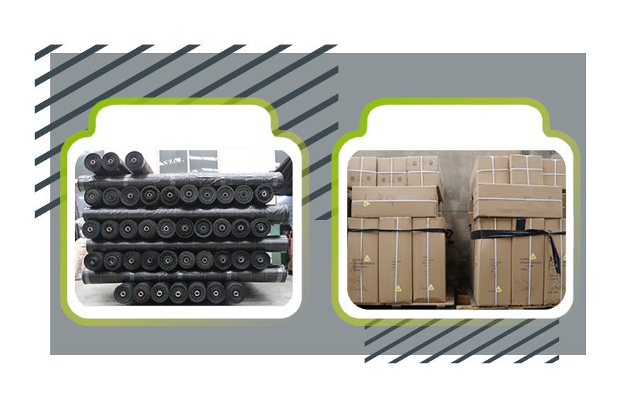 Ground cover-foot Acoperirea solului-picior