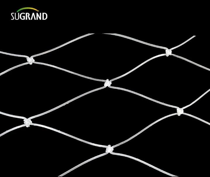 nylon fish net 2 plasă de pește din nailon 2