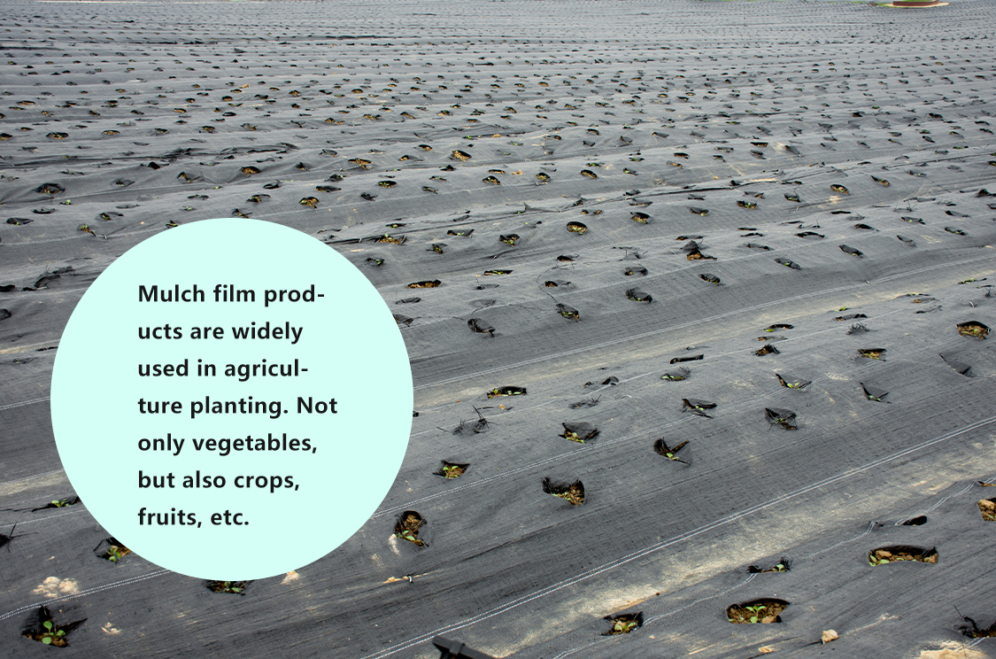 biodegradable mulch film film de mulci biodegradabil