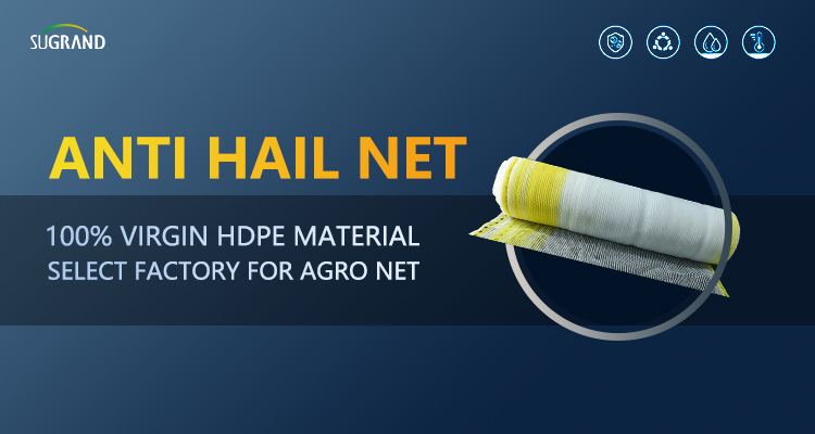 hail netting for vineyards grindină pentru podgorii