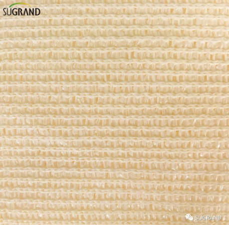 shade sail pânză de umbră