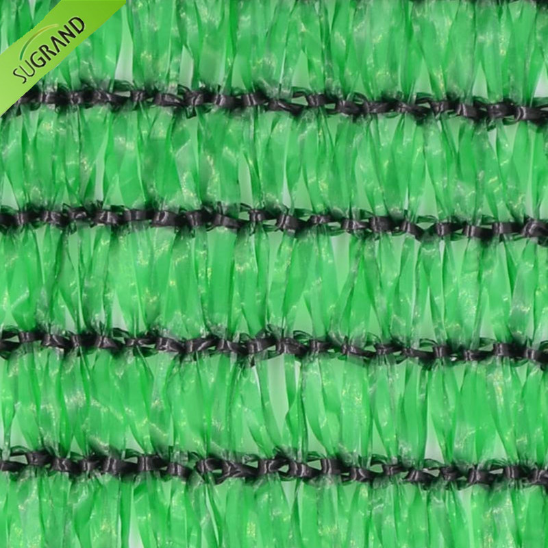 Trei ace de bandă de bandă verde/negru nuanță de nuanță