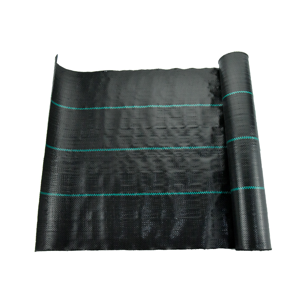 China Fabrica 70G Peisaj agricol PE PE PERICE