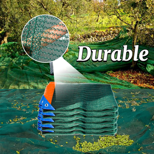 Agricultură Plastic Măsline Colectează Net Fructe Recolta Ochiuri în Tunisia