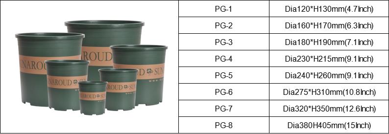 ghiveci pentru plante suculente