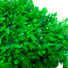  Grădină în aer liber UV protejat faux din plastic verde perete de iarbă verde
