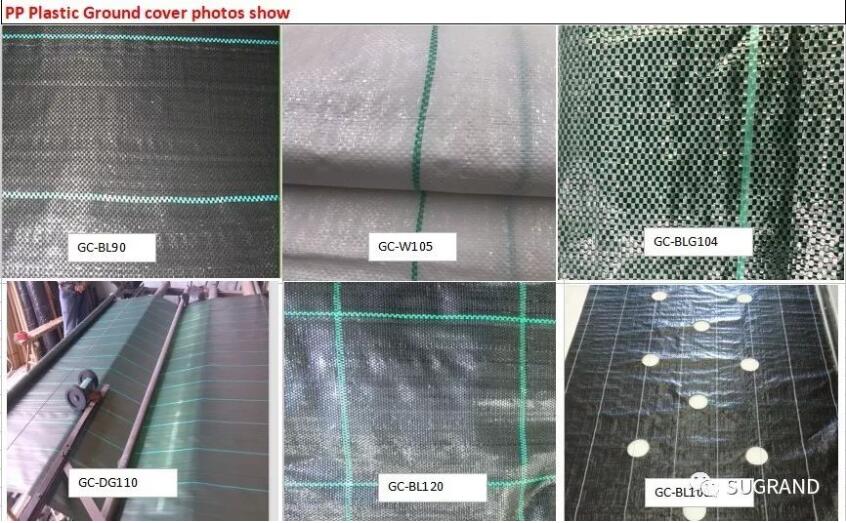 acoperirea solului 2