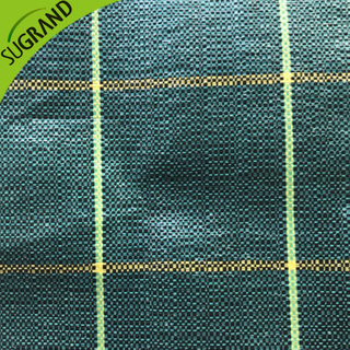 Green de înaltă calitate Green 130gsm Cover la sol/buruieni de buruieni