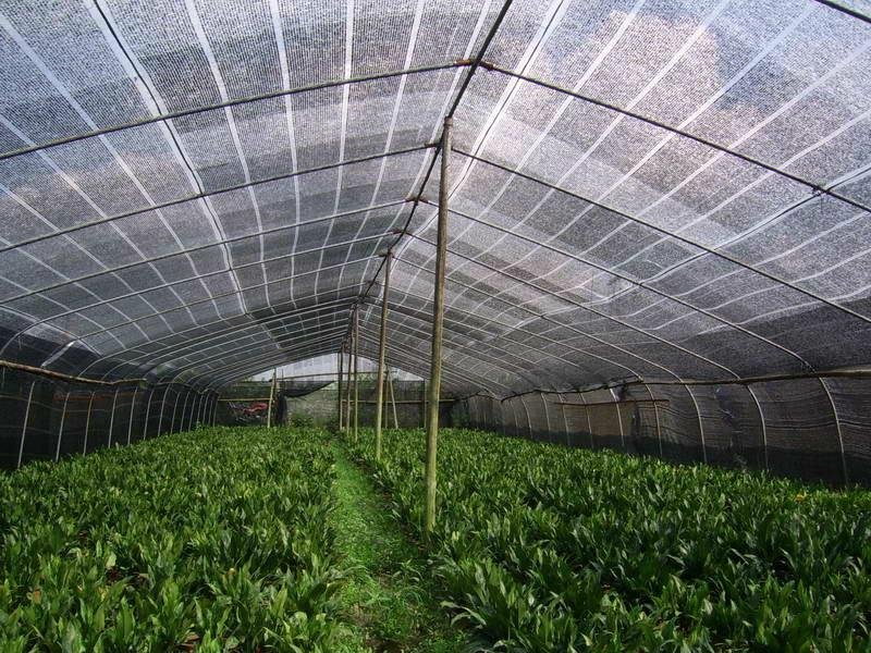 Funcția de izolare termică a plasă de nuanță de seră