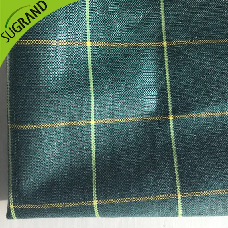 Green de înaltă calitate Green 130gsm Cover la sol/buruieni de buruieni