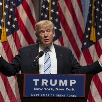 plasa de sustinere a plantelor