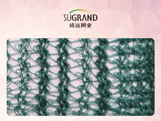 Livadă Triunghi Verde Măsline Culegere Plasa