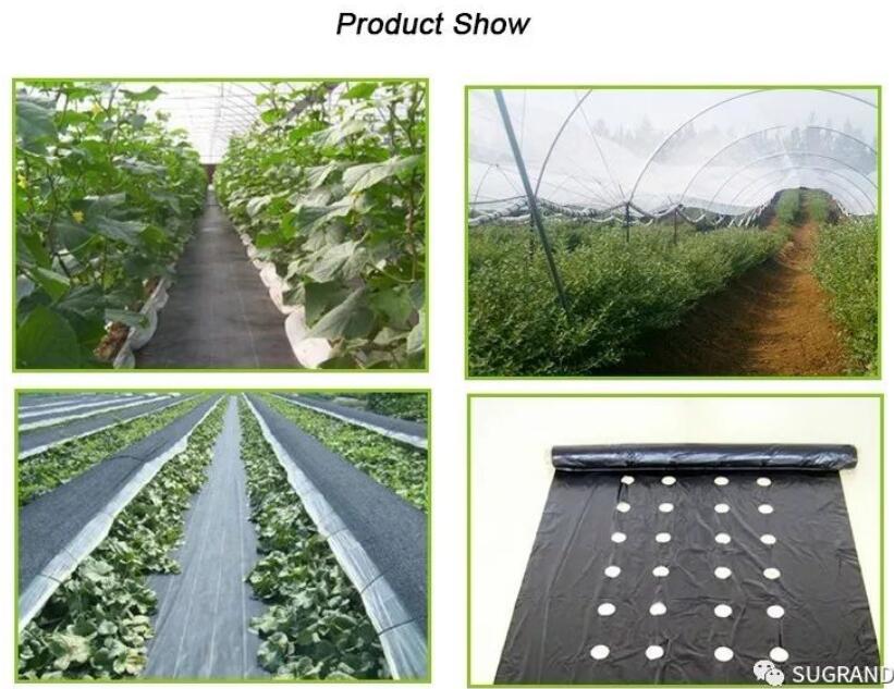 Acoperire pentru sol din plastic PP/MALLA ANTIMALEZA 