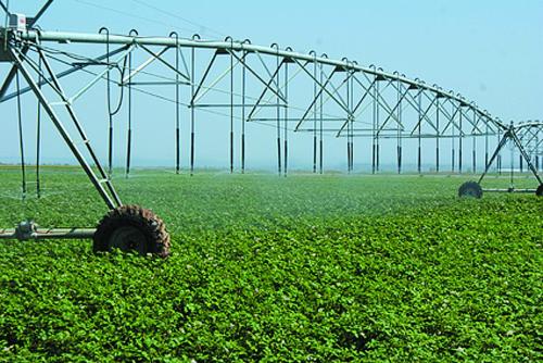 plasă de plastic pentru agricultură 
