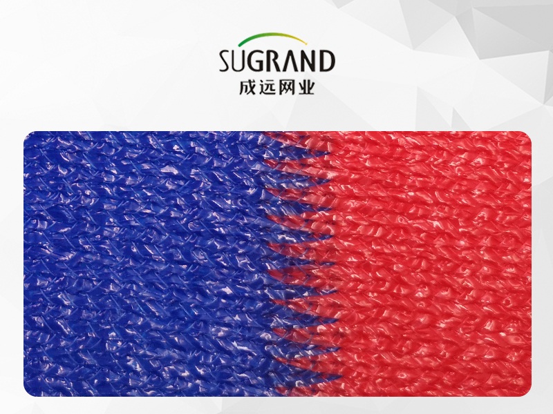 3 culori 200gsm mono și bandă