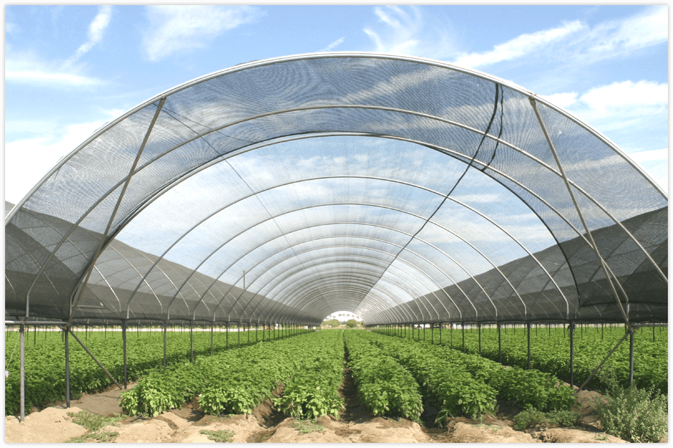 fabrică de plase de umbră