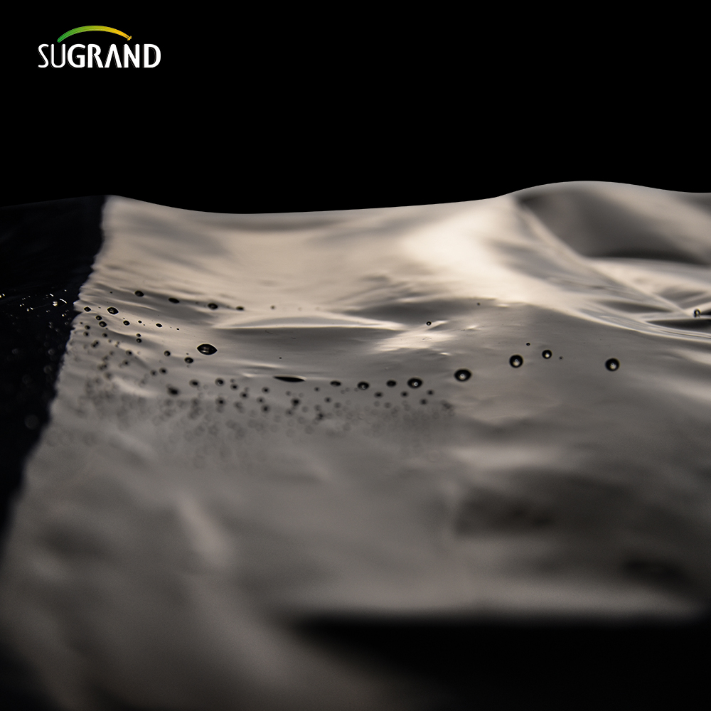 PE Garden Weed Mat Agricultură Plastic Mulch Film