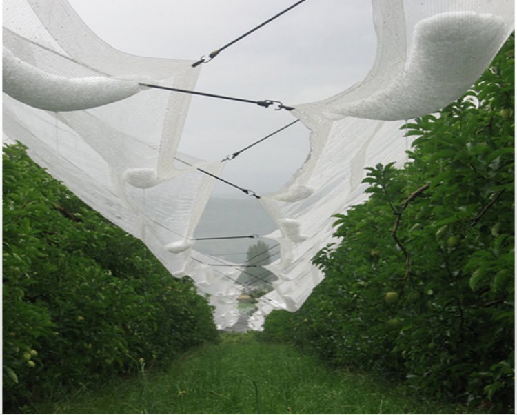 Netting de protecție a grindinei