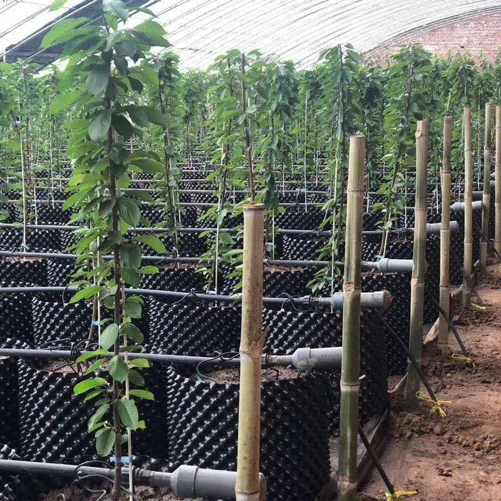 Containerul de control al rădăcinilor plantelor