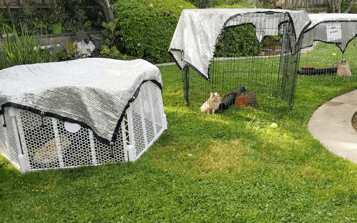 Cum să măsurați pentru o nuanță de vele