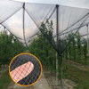 SUGRAND Plasă antigrindină pentru livezile fermelor