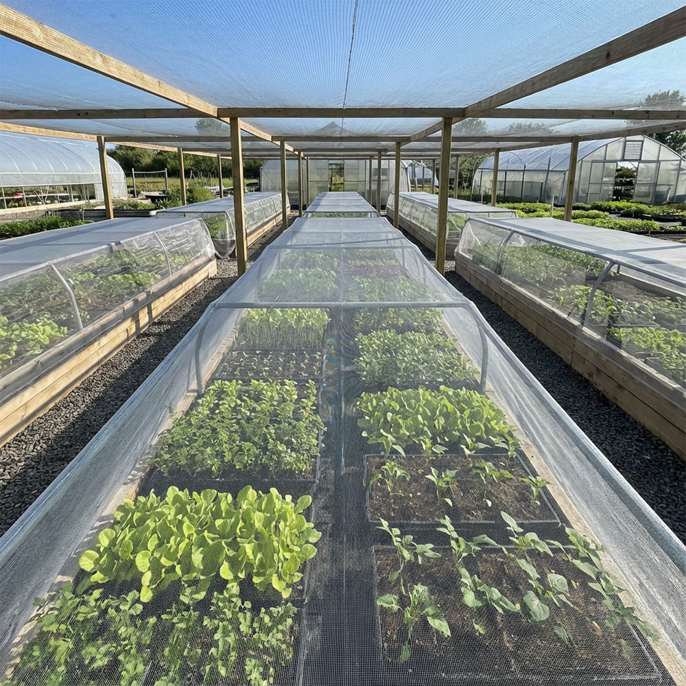 Cum să alegi plasa de insecte potrivită pentru legume?