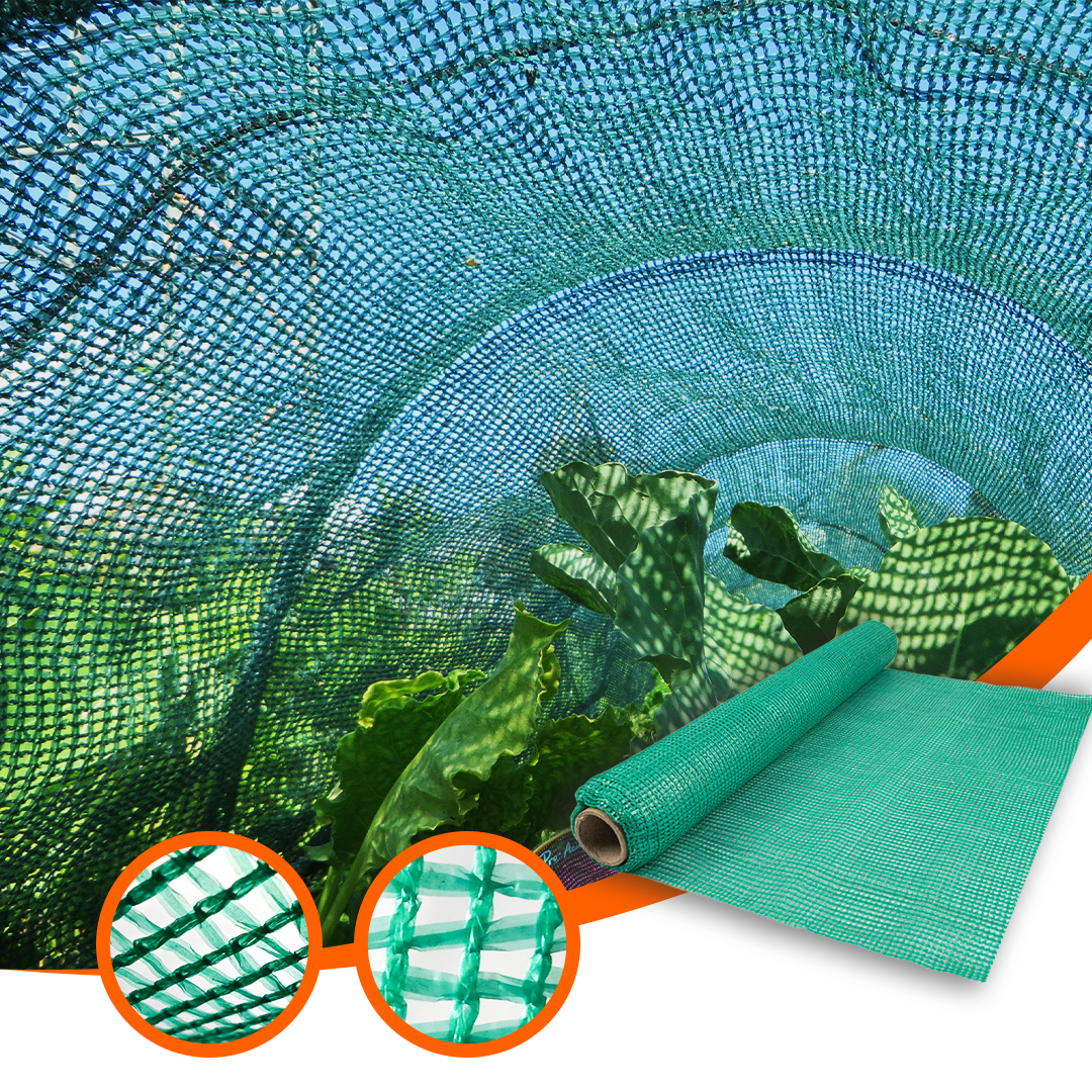 Shade Net 70% Agricol Casă Verde Nuanță Fabricare netă