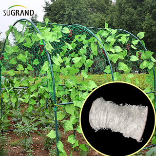 Plante de alpinism alb de nylon al albului care susțin plasa