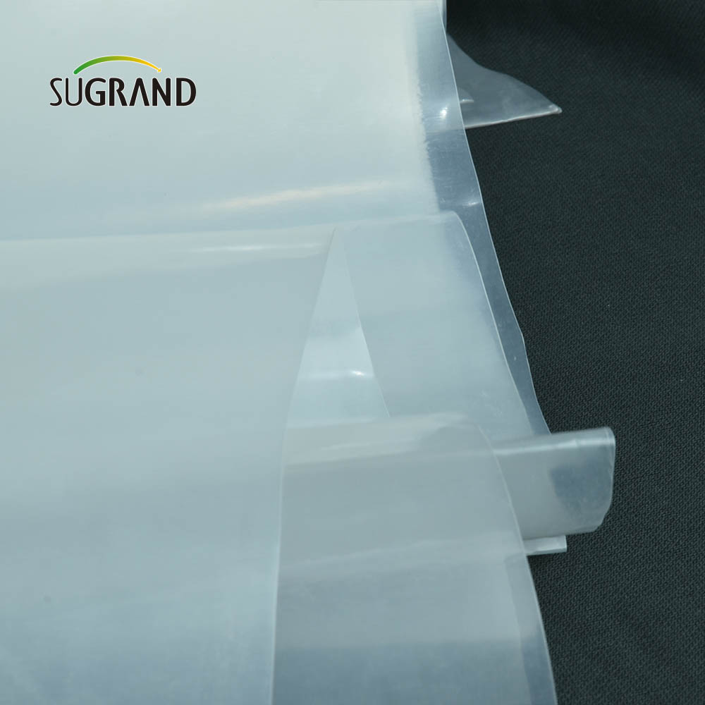 Film de seră ieftin din fabrică Film cu efect de apă impermeabil 150 microni Film cu efect de seră pentru grădină de legume