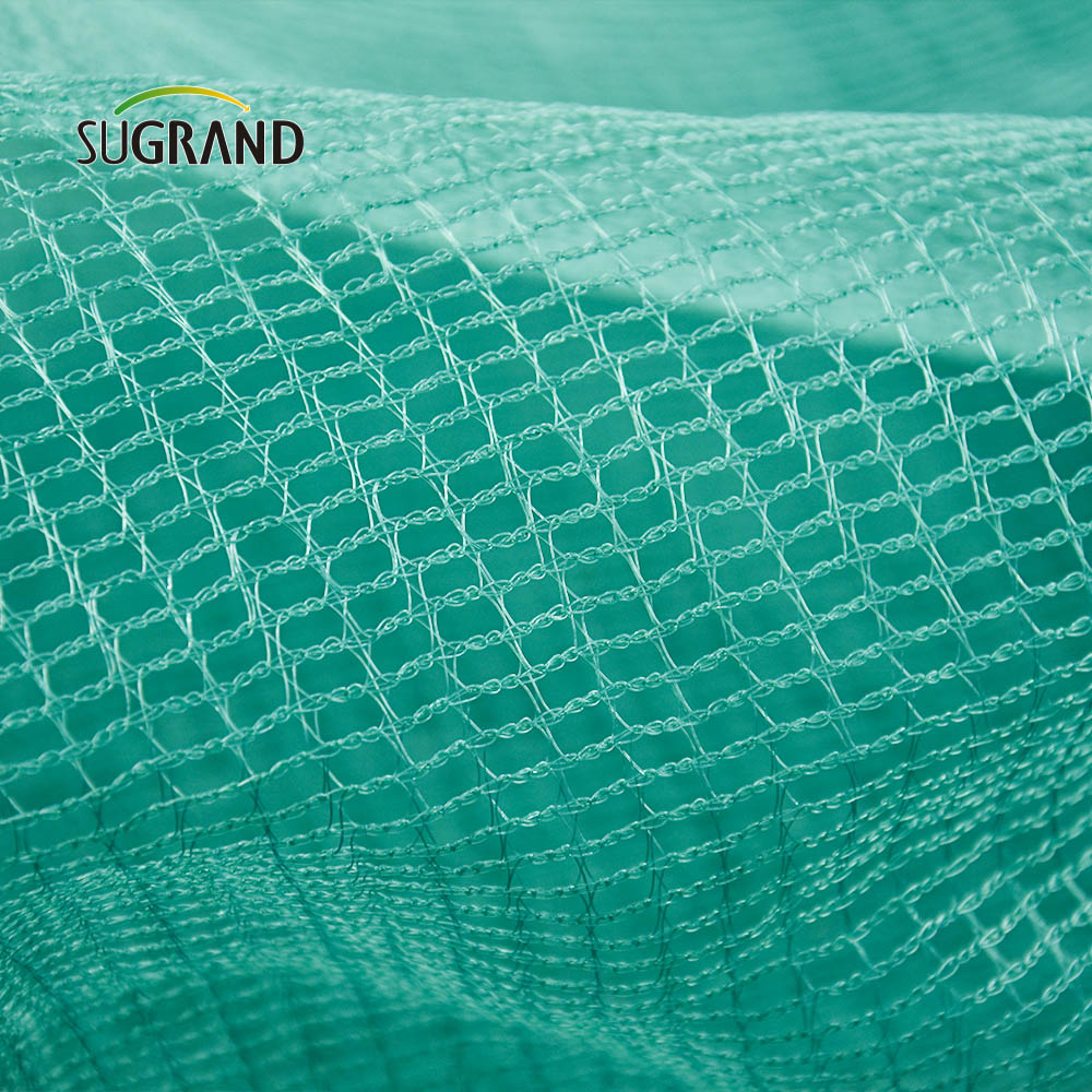 Net de măsline 5x10m de măsline pentru recolta de fructe net de măsline în Italia