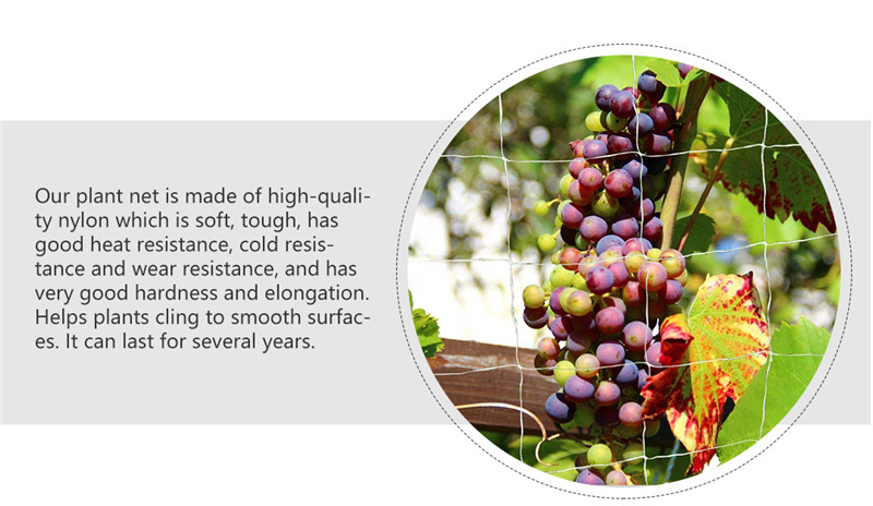 plasa de sustinere a plantelor 3