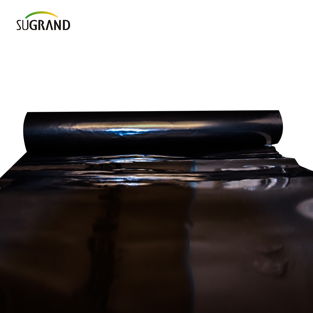 PE Garden Weed Mat Agricultură Plastic Mulch Film