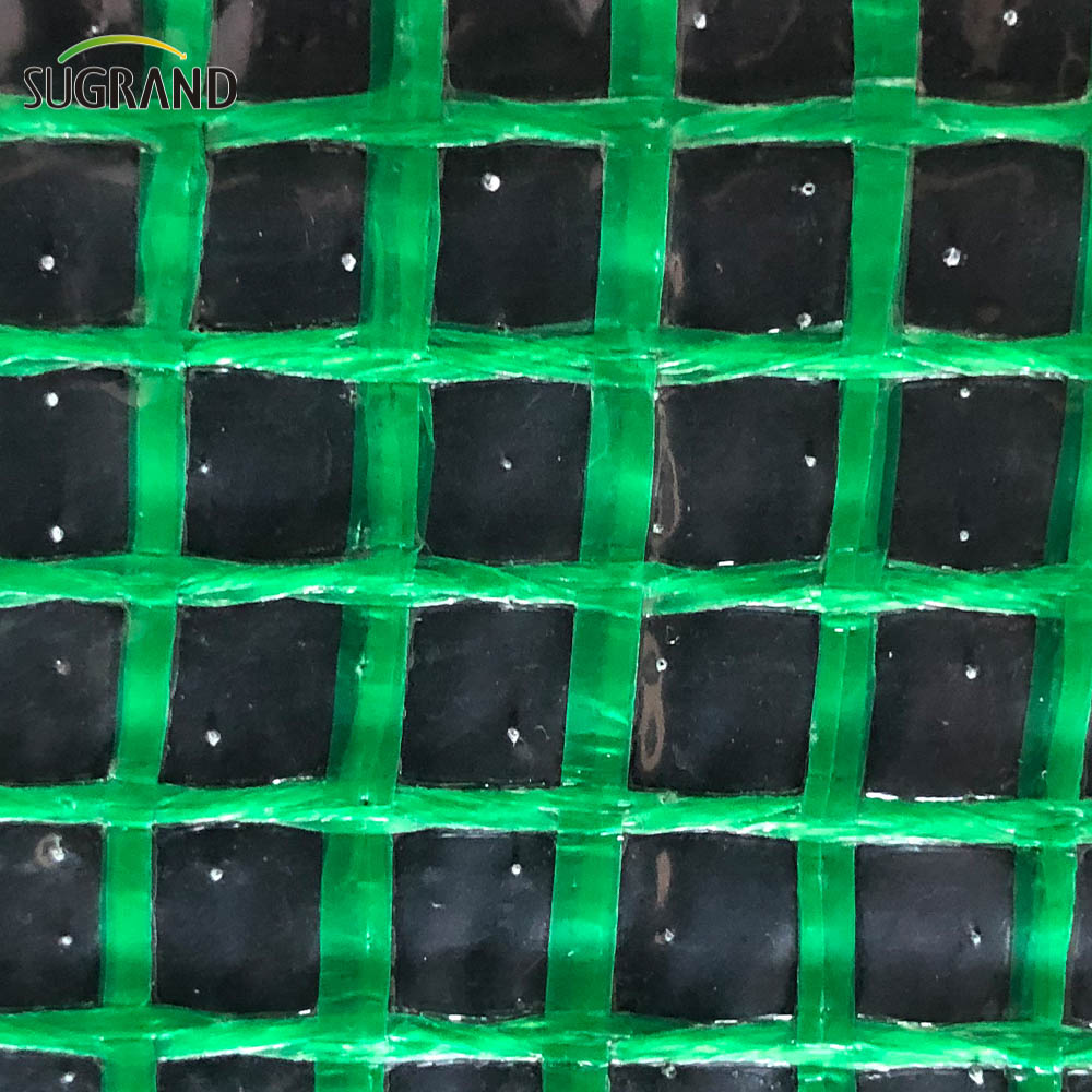 Construcție prelată de prelată plasă de plasă net plasă de plasă pe prelată