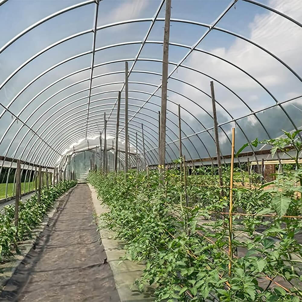 Produse comerciale pentru seră: Ghid de aprovizionare în vrac B2B