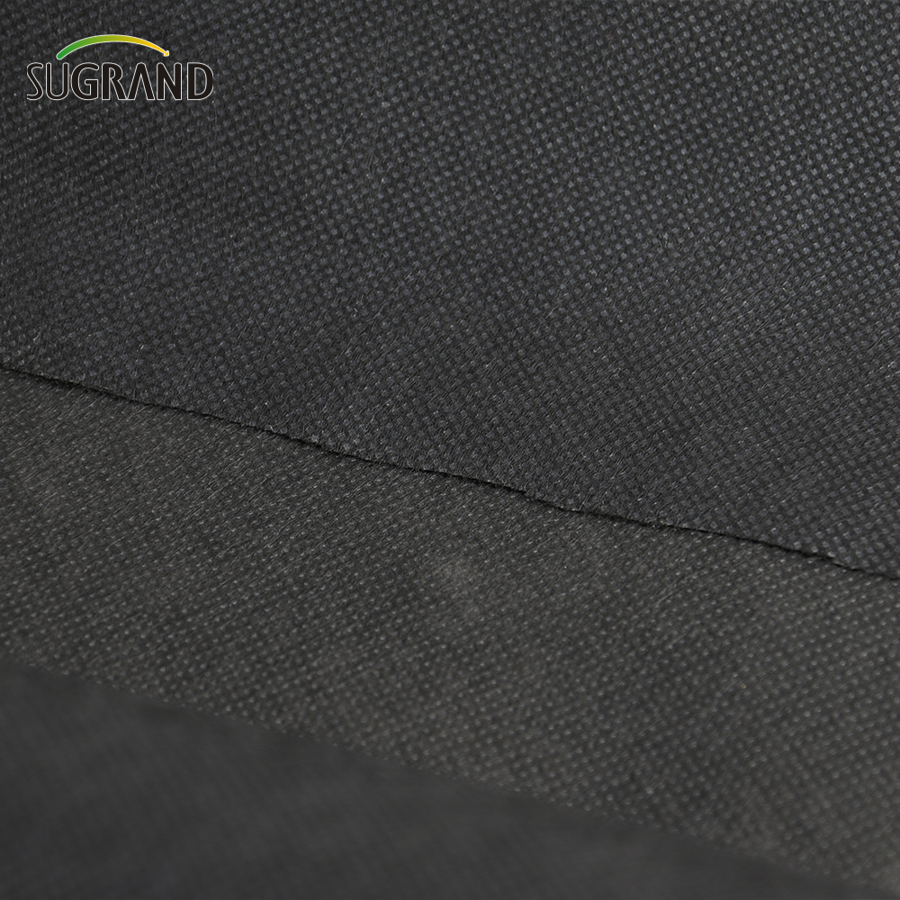 Preț din fabrică Bio Redable Non țesut țesut negru 50gsm țesut țesut