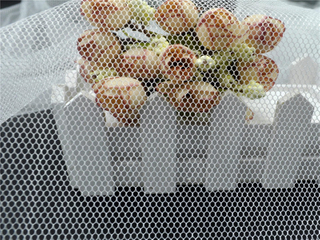 Albastru și alb 35gsm 3*100m Mosquito Net pentru Indonezia cu poțiune anti-țânțar