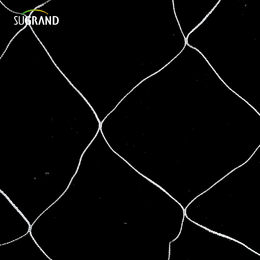 En -gros de nylon alb susținător de spații de spalare de spargere de 5x15 picioare Grădină 6 'Mesh pentru alpinism