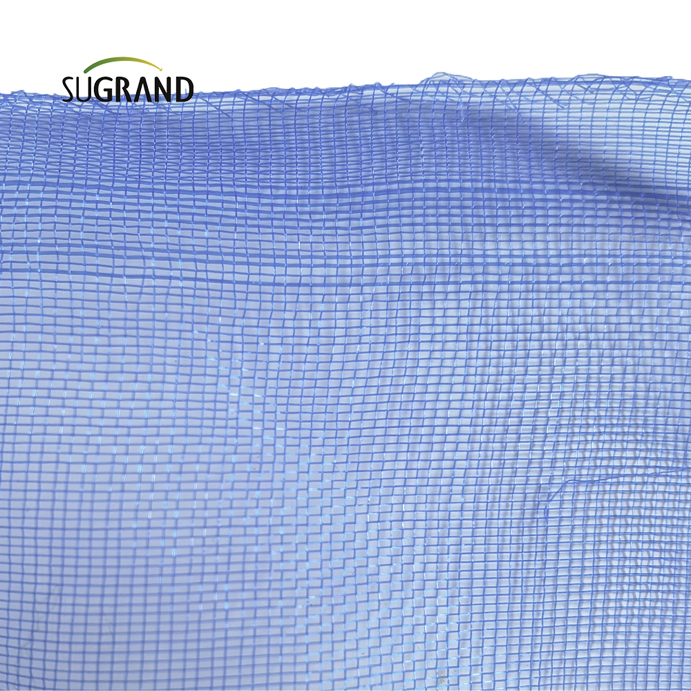 Nigeria Blue Screen Insect Net Net pentru ferestre sau ușă 