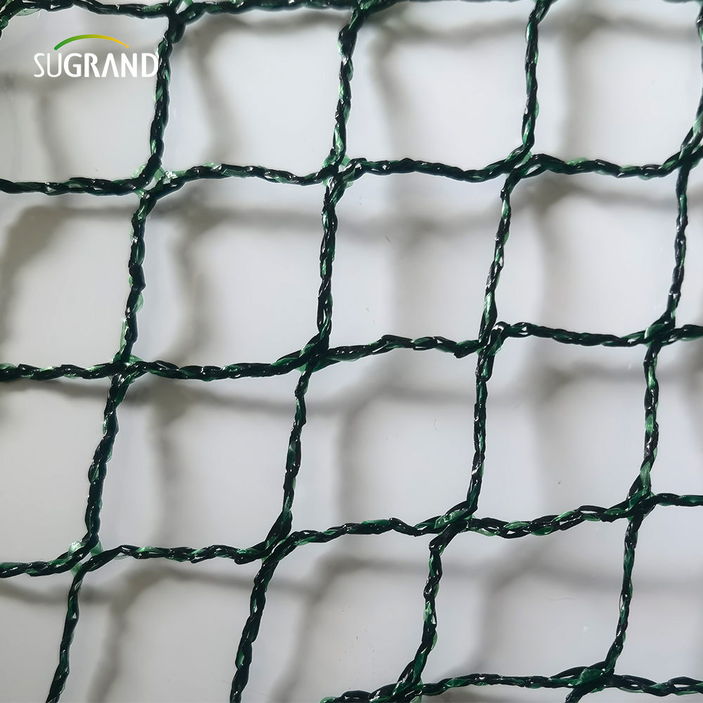 Republica cehă100% HDPE+UV 25GSM 20*20mm Mesh 5*6/12m Green Green Agricultură Catching Bird Mist Netting