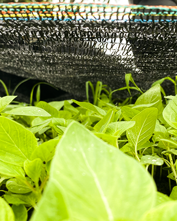 plasă de nuanță gri