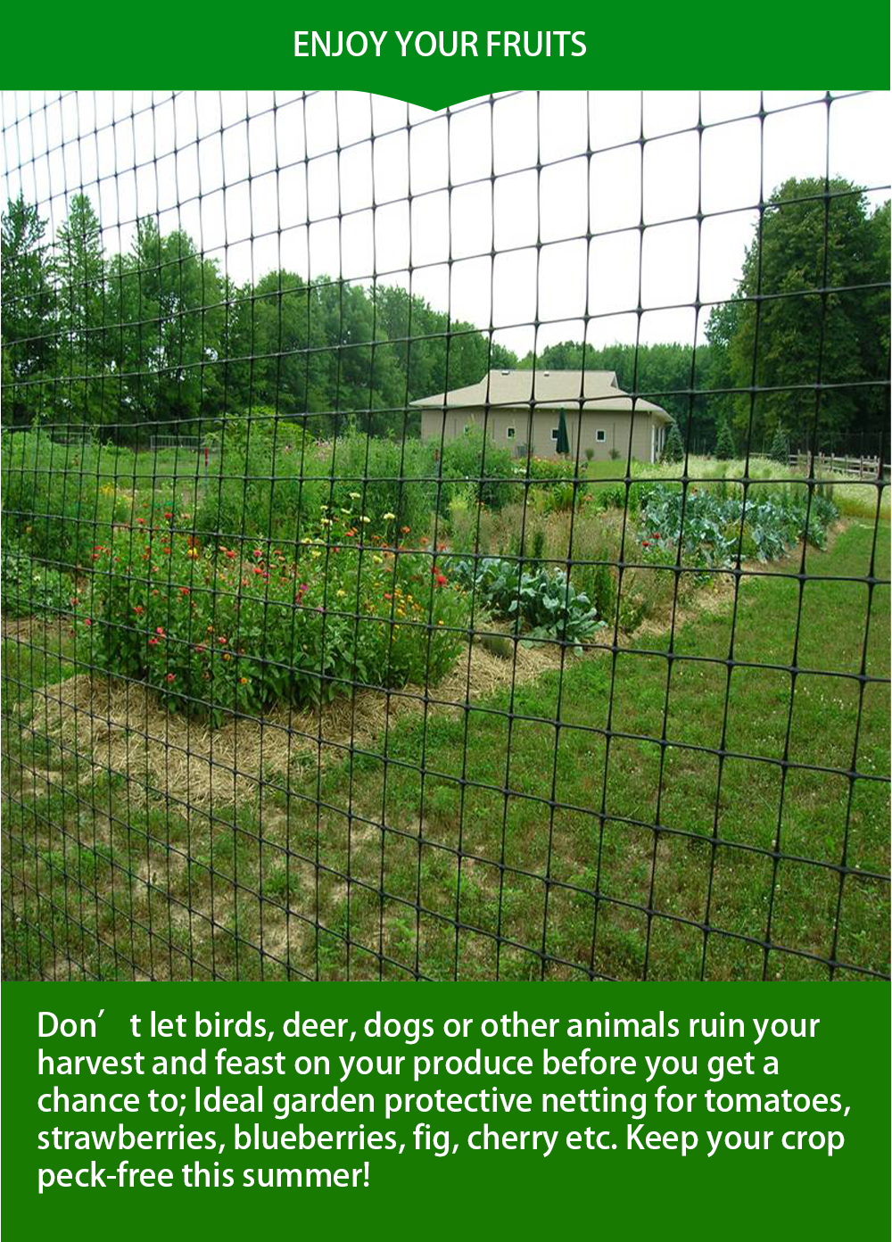 plasă anti aluniță11