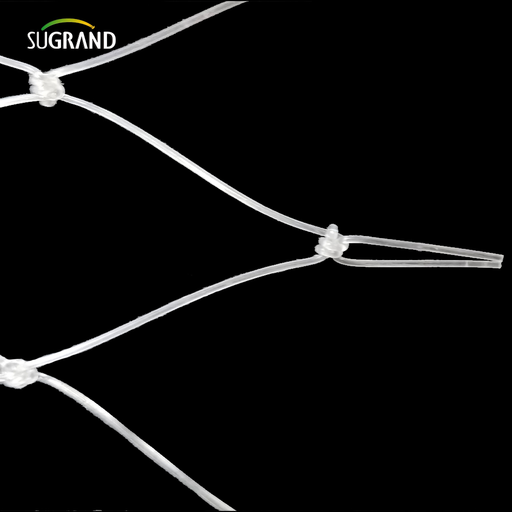 15*15 cm plasă transparentă de pește din nylon pentru piața din Peru