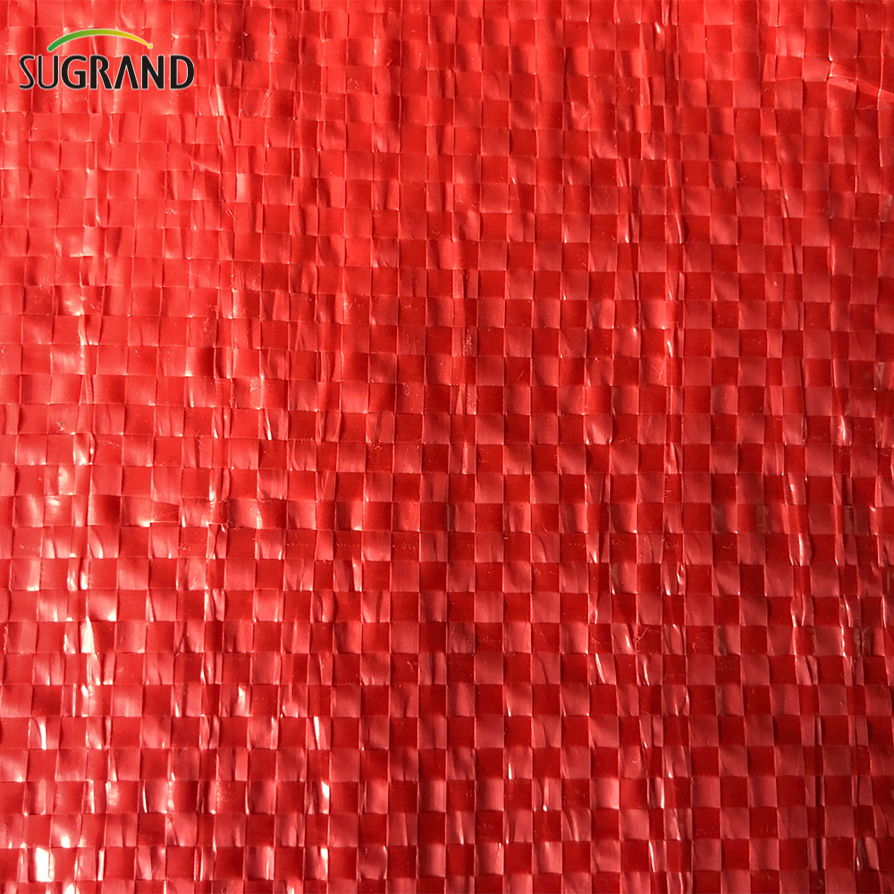 Piața din Chile Saci de cartofi din plasă din plastic Saci de ceapă Geantă de plasă din PP