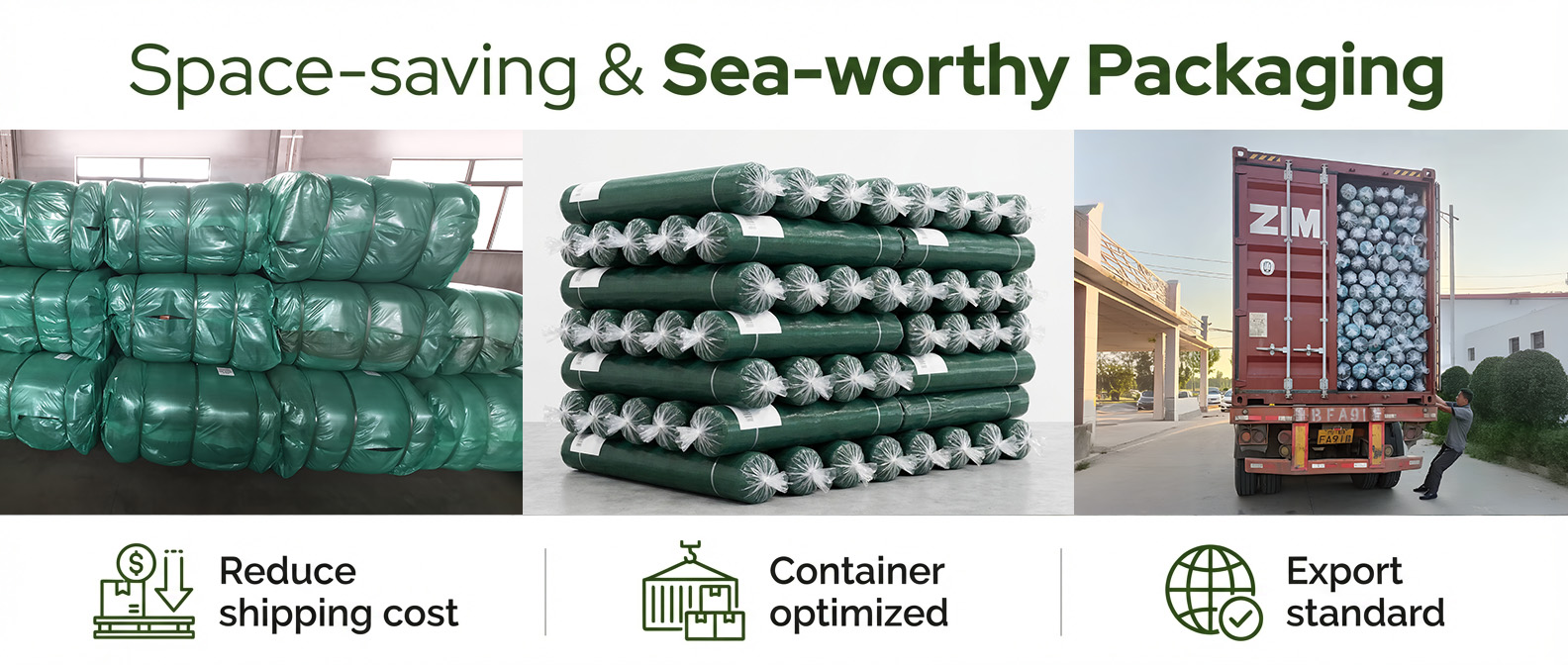 fabrică de plasă de măsline.jpg