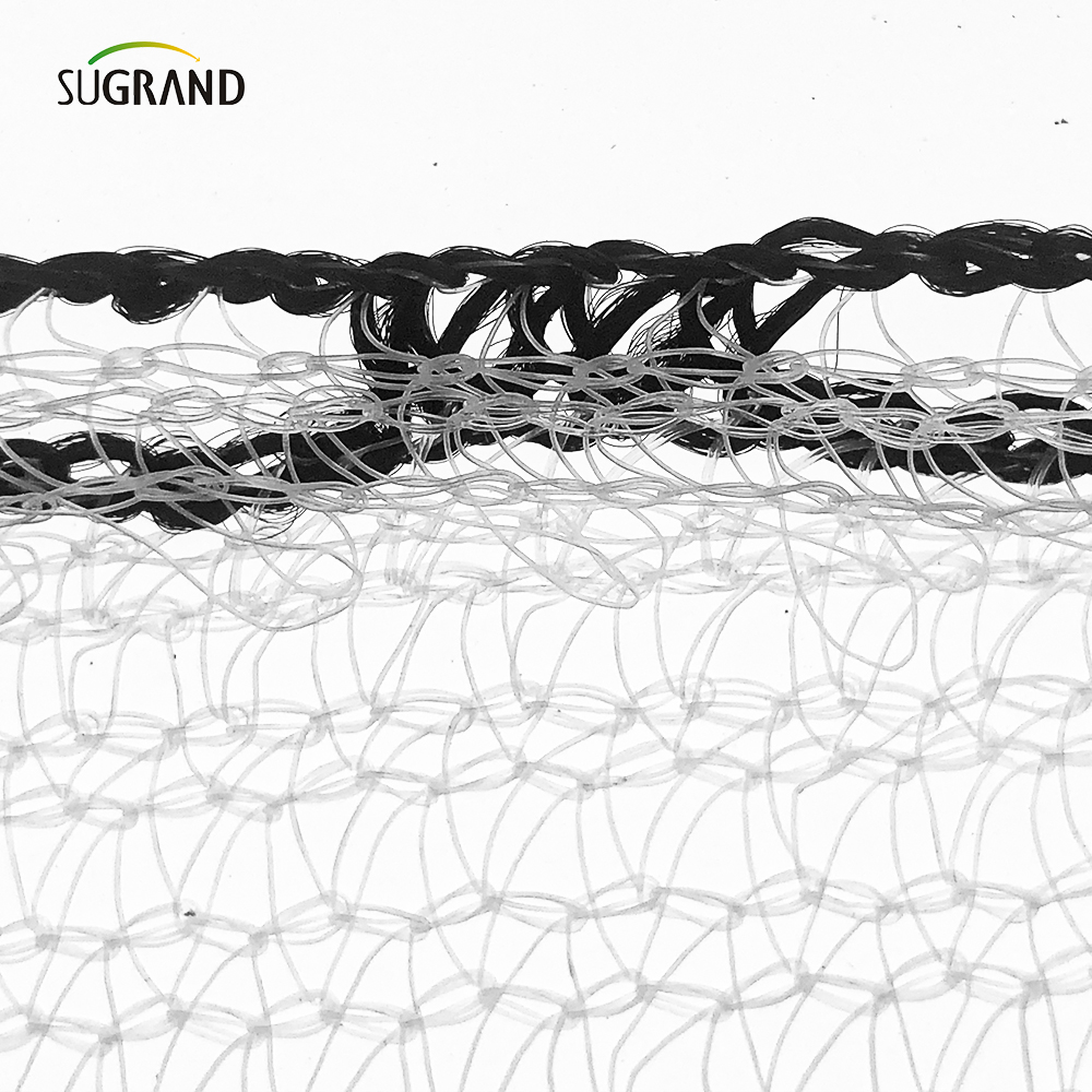 China Factory 80gsm Albul Siguranță pentru clădire