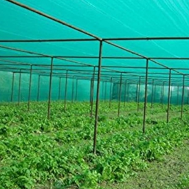 Alegeți plasa de umbră potrivită pentru a vă spori recolta